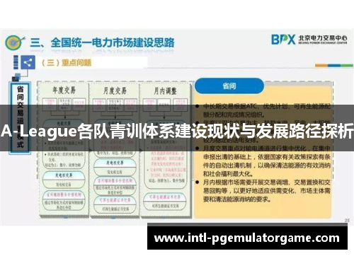 A-League各队青训体系建设现状与发展路径探析