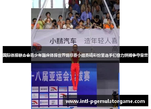 国际体操联合会青少年蹦床体操世界锦标赛小组赛精彩纷呈选手们奋力拼搏争夺荣誉