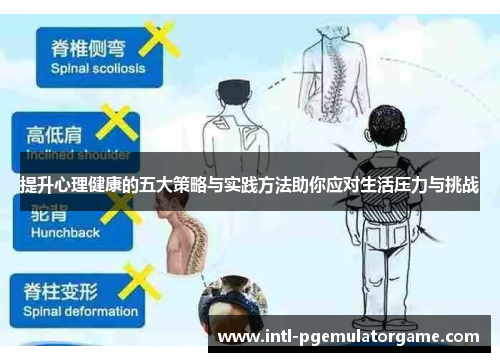 提升心理健康的五大策略与实践方法助你应对生活压力与挑战