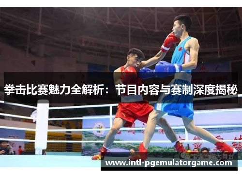 拳击比赛魅力全解析：节目内容与赛制深度揭秘