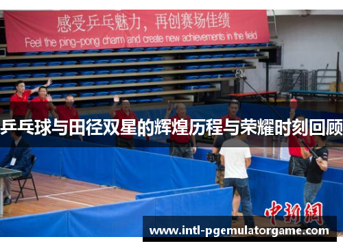 乒乓球与田径双星的辉煌历程与荣耀时刻回顾