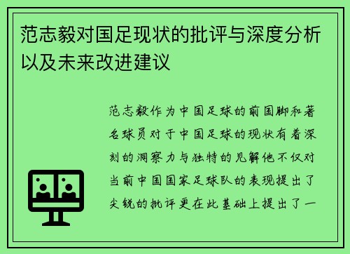 范志毅对国足现状的批评与深度分析以及未来改进建议