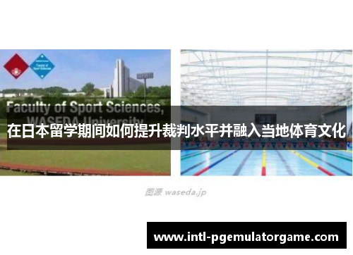 在日本留学期间如何提升裁判水平并融入当地体育文化
