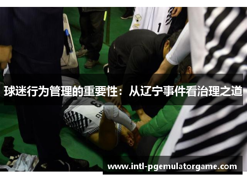 球迷行为管理的重要性：从辽宁事件看治理之道