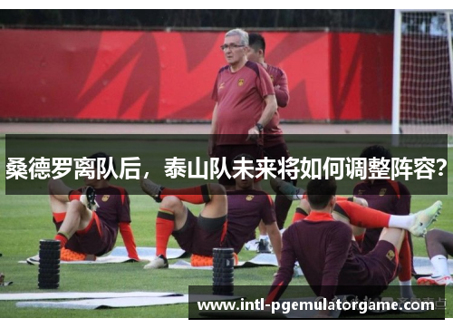 桑德罗离队后，泰山队未来将如何调整阵容？
