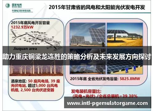 助力重庆铜梁龙连胜的策略分析及未来发展方向探讨