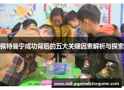 佩特曼宁成功背后的五大关键因素解析与探索