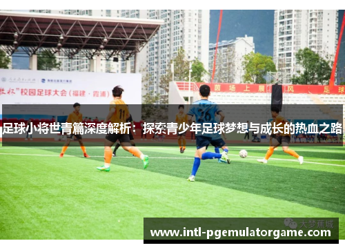 足球小将世青篇深度解析：探索青少年足球梦想与成长的热血之路