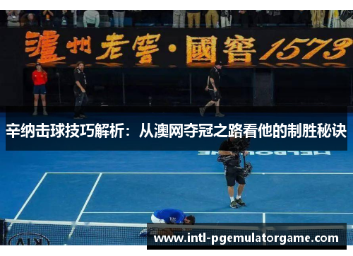 辛纳击球技巧解析：从澳网夺冠之路看他的制胜秘诀
