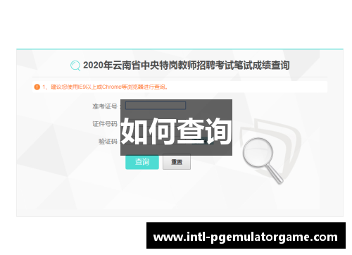 如何查询 如何查询