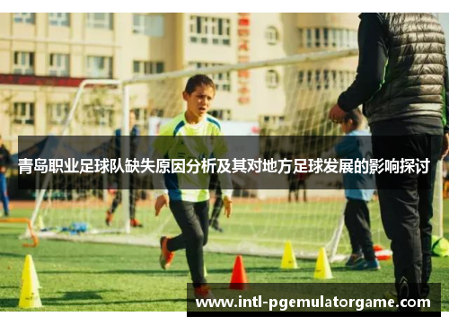 青岛职业足球队缺失原因分析及其对地方足球发展的影响探讨