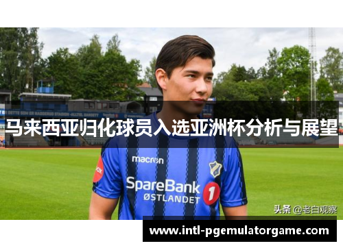 马来西亚归化球员入选亚洲杯分析与展望