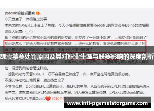 魏震禁赛处罚原因及其对职业生涯与联赛影响的深度剖析