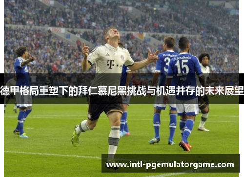 德甲格局重塑下的拜仁慕尼黑挑战与机遇并存的未来展望