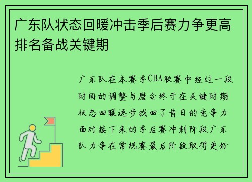 广东队状态回暖冲击季后赛力争更高排名备战关键期