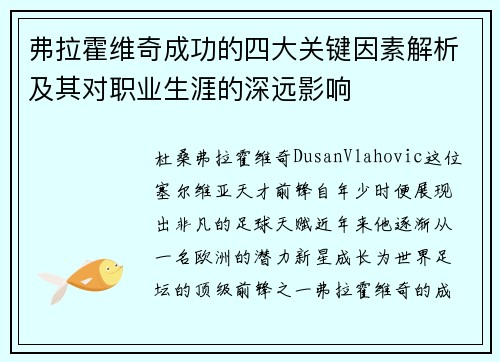 弗拉霍维奇成功的四大关键因素解析及其对职业生涯的深远影响
