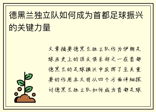 德黑兰独立队如何成为首都足球振兴的关键力量