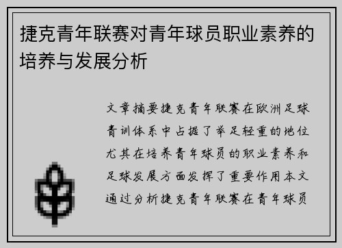 捷克青年联赛对青年球员职业素养的培养与发展分析