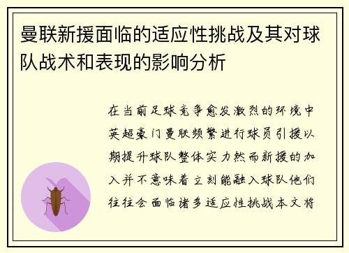 曼联新援面临的适应性挑战及其对球队战术和表现的影响分析